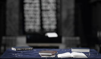 宁天与林冉冉,命运交织的自媒体生活