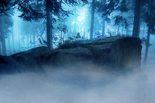 生活之美,300字里的诗意与智慧