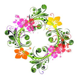 探索生活之美,手抄报的艺术与创意